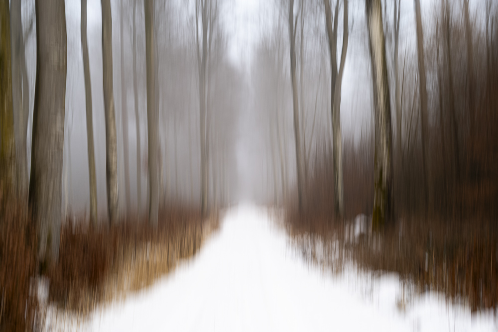 Platz 1 Michael Mayer